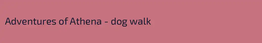 Adventures of Athena - dog walk